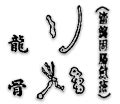 龍骨|龍骨(五花龍骨、白龍骨)